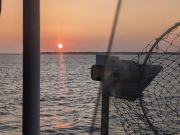 Miss Oregon Inlet II Head Boat Fishing, Sunset & Firework Cruise Availability