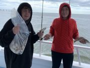 Miss Oregon Inlet Head Boat Fishing, Hooked Again