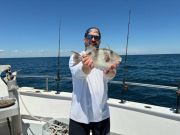 Miss Oregon Inlet II Head Boat Fishing, Right on the Triggerfish