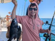 Miss Oregon Inlet II Head Boat Fishing, Sea Bass Biting Like Crazy