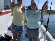 Miss Oregon Inlet II Head Boat Fishing, Trout Tuesday