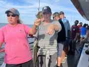 Miss Oregon Inlet II Head Boat Fishing, Pretty fish!