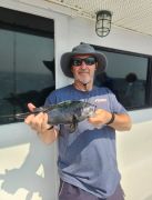Miss Oregon Inlet II Head Boat Fishing photo