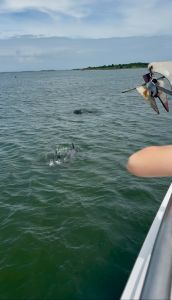 Miss Oregon Inlet II Head Boat Fishing photo