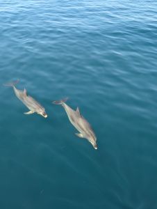 Miss Oregon Inlet II Head Boat Fishing photo