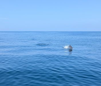 Miss Oregon Inlet II Head Boat Fishing photo