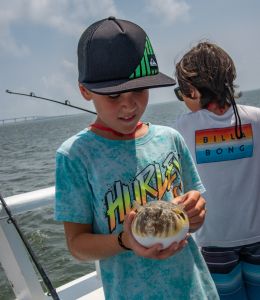 Miss Oregon Inlet II Head Boat Fishing photo